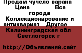 Продам чучело варана. › Цена ­ 15 000 - Все города Коллекционирование и антиквариат » Другое   . Калининградская обл.,Светлогорск г.